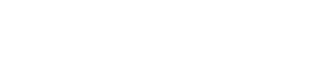 CitySchoolsHeader (white)